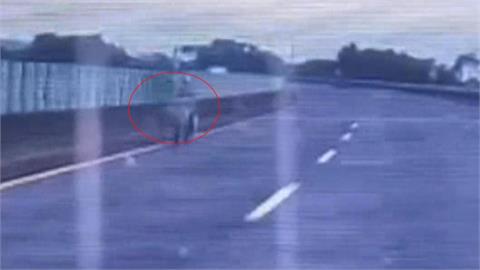嚇瘋！　國道3北上244.6K　驚見機車逆向騎在內線道