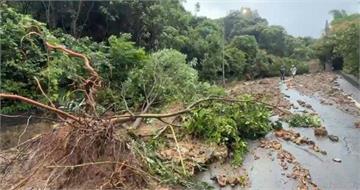 連日大雨！汐止老爺山莊大規模土石坍方　路樹倒塌聯外道路中斷