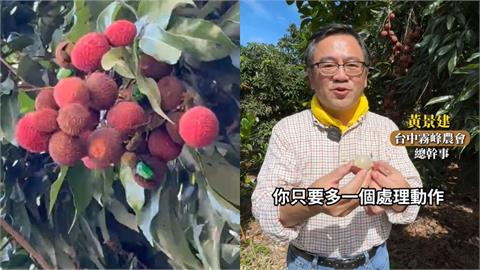 炎熱天氣荔枝容易變質？專家曝多做「1步驟」保鮮不發黑延命10天