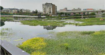 台中台糖湖濱園區凌晨女浮屍漂湖中　晨運民眾嚇壞報警