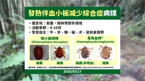 七旬翁挨蜱蟲咬住院! 「SFTS蜱蟲病」致死率高達3成
