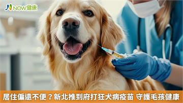 居住偏遠不便？新北推到府打狂犬病疫苗　守護毛孩健康