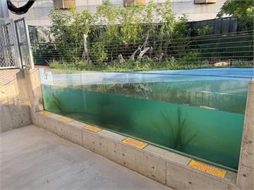 水族館玻璃「價值一棟房子」？日本館方「超浮誇告示」掀網熱議：不敢碰了