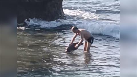 快新聞／中國遊客慘了！小琉球徒手抓海龜被逮　下場曝光
