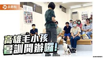 高雄動保處開辦暑期訓犬課程馬拉松　強化飼主責任打造友善毛孩生活