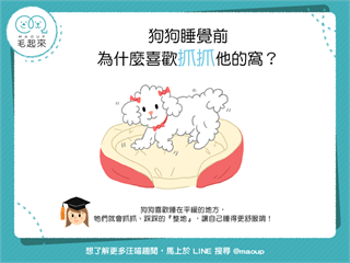 【汪汪行為學】狗狗睡覺前，為什麼喜歡抓抓牠的窩？