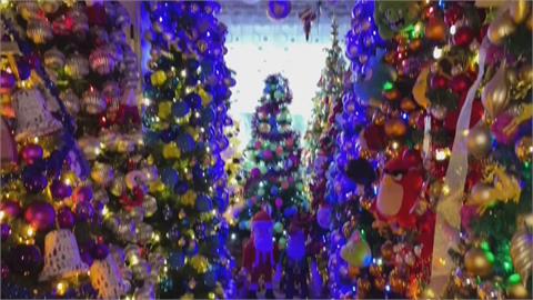 德國「耶誕狂粉」夫妻　收集555棵耶誕樹布置耶誕世界