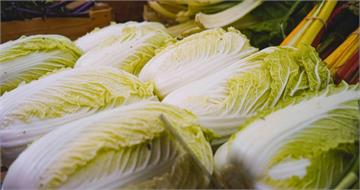 買到甲醛白菜怎麼辦？　專家教「這樣做」可降低殘留