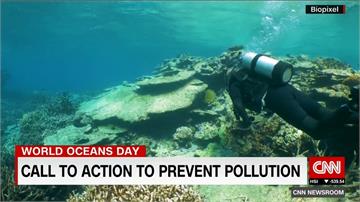 全球珊瑚生態惡化  澳洲砸4億美金搶救