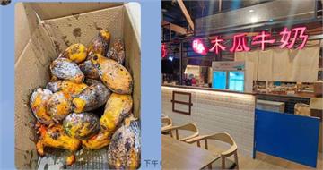爆料沒證據慘了！前員工稱日春都用「發霉木瓜」　涉2罪遭起訴