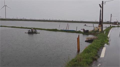 雲林魚塭成汪洋! 「豪雨+大潮」宣洩不及 養殖戶欲哭無淚