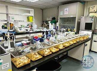 封面故事/120隻白老鼠違規堆放實驗室 國光生技疫苗陷汙染風暴
