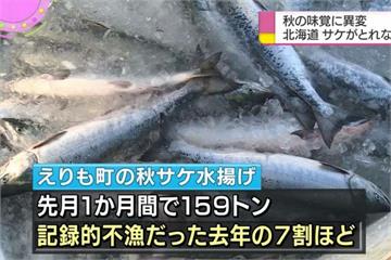 日本天候不佳  松茸、秋鮭產量大減