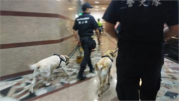 桃警持續落實雷霆除暴　緝毒警犬助陣提升量能