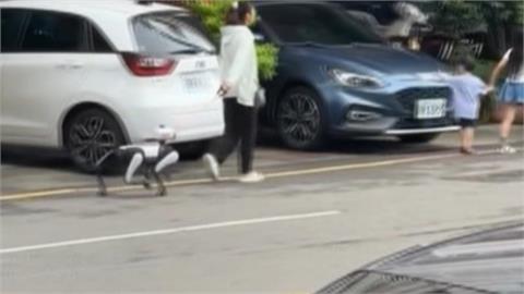 台中驚見「中國機器狗」趴趴走！　網驚：蒐集街道情資？