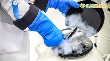 愈來愈多女性選擇凍卵！醫師解析凍卵關鍵與最佳時機