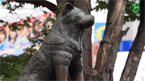 忠犬八公百歲冥誕　國內外大批遊客搶與銅像合照