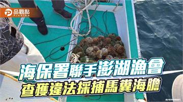 海空聯防奏效　澎湖查獲違法採捕154顆馬糞海膽