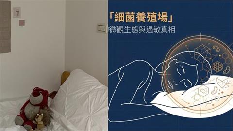 不是枕頭套、床單！醫曝「床上最髒物＝細菌養殖場」：塵蟎排泄物吃到飽
