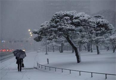 雪季來了！日本富士山宣布「初冠雪」　刷新130年最晚紀錄