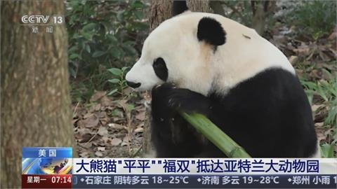 川習會結束！中國兩貓熊抵美　外媒：貓熊外交影響大不如前