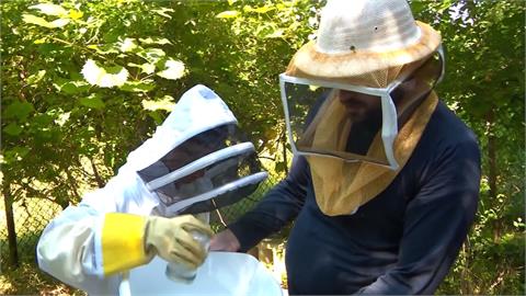 美國非營利組織身障就業計畫　培育熱情養蜂人