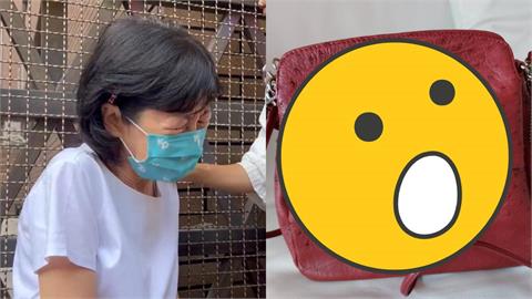 柯家搜出「1款包」遭疑這麼有錢？陳佩琪驚吐「標15萬」內幕：我喜歡鱷魚紋路