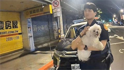 小狗「聞香」跳上外送員機車　直送警局！幫自己找到回家路