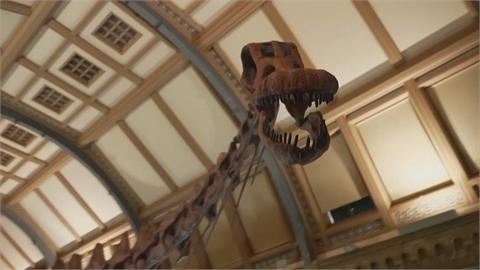 倫敦特展展出37米長泰坦巨龍　還有精心調配「恐龍便便」可以聞