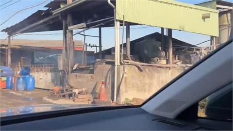 綠營踢爆養豬場偷用廚餘養豬 盧秀燕:一定查,抓到重罰!