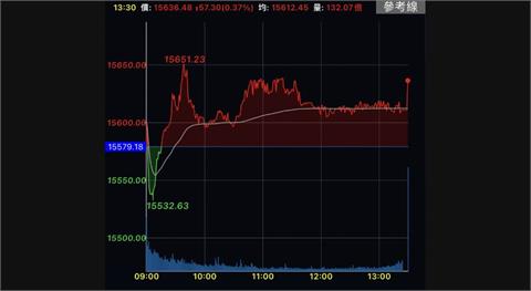 台積電擺尾　台股收漲57點站上15600點