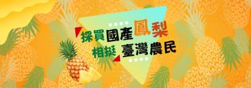 台灣農產嘉年華電商「鳳梨專區」上線！ 國產新鮮鳳梨、加工品直接買