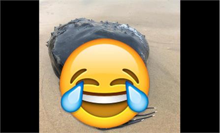 「異形」出沒？美國海灘驚現「漆黑鮟鱇魚」網友驚呼：太瘋狂了