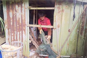2公尺臭青母闖農舍困魚網　動保員左抓蛇右剪網救援