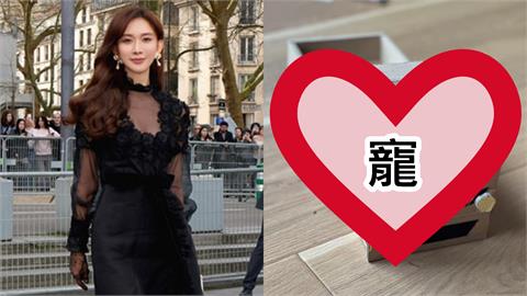 林志玲「賢慧之手」超寵兒!純手工「卡車+跑道」成品曝…網驚呆:可以轉行
