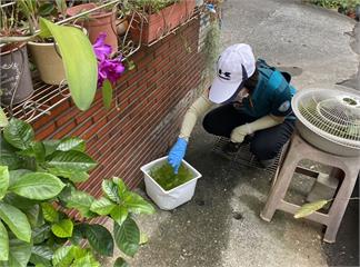 桃園登革熱爆開了！燒向龜山區   接觸過「指標個案」友人一家2發病