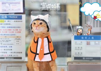 蜜柑站長換裝不打怪 聯名虎航馬年走春美食玩樂全包