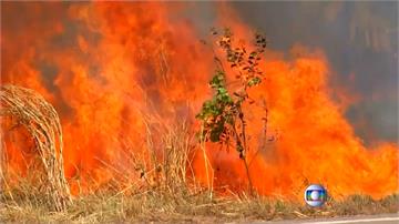 過度濫墾濫伐 亞馬遜區野火發生率破紀錄