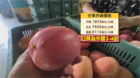 中國禁令影響不大　台芒果賣到日韓價格是中國4倍