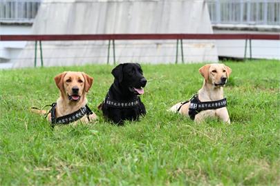 汪汪隊！桃園警犬隊正式成軍　張善政出席儀式授予犬階