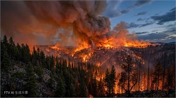 熱浪肆虐！巴黎楓丹白露森林爆發罕見野火　交通大打結