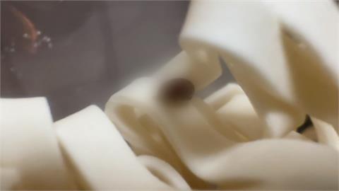 噁！密封關廟麵下鍋煮　竟飄出3隻蟲屍