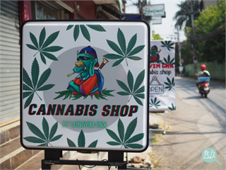 泰國大麻合法化滿1年！預估2025市值達429億泰銖  但卻引來「大麻煩」？