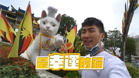 貓奴天堂！馬來西亞古晉見巨型白貓雕像　他笑喊：好像當神拜一樣