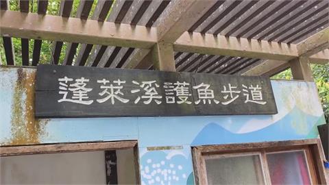 南庄消暑秘境！　＂蓬萊溪護魚步道＂如走入忘憂谷