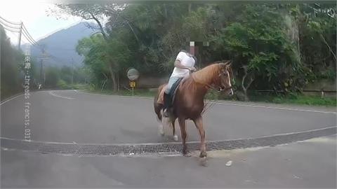 馬匹馬兒路上跑　騎士險遭馬飛踹　驚險一瞬間