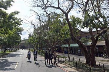 闖台大攔查抓人嚇壞學生　移民署認錯致歉