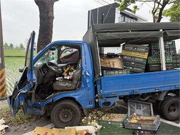 快新聞／宜蘭三星小貨車撞路樹！60箱雞蛋破光光　還要賠兩輛車損