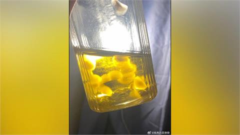 中國瘋養「茶菌」！　茶飲開蓋後數天驚現白色球型菌