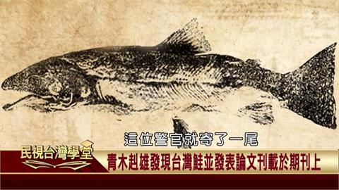 已在台灣生活多年！日治時期才被正式發現！學者「青木糾雄」命名「台灣鮭」！